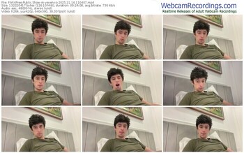 flirt4free-vexen-io-11-14-2025-11-04-07