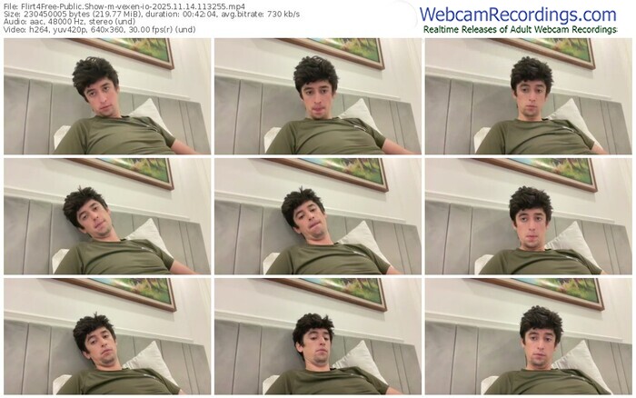 flirt4free-vexen-io-11-14-2025-11-32-55