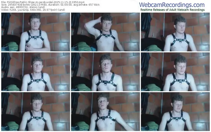 flirt4free-jacob-vidal-11-15-2025-21-33-50