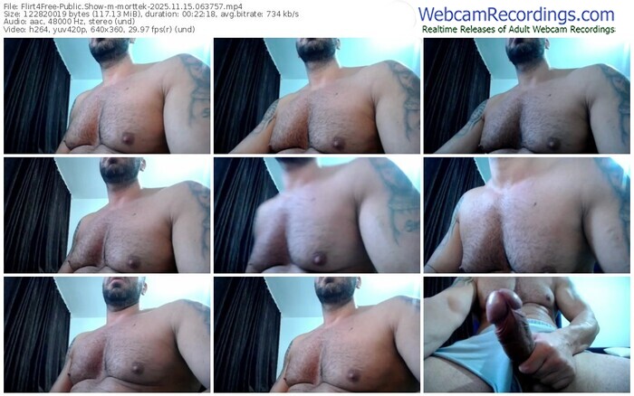 flirt4free-morttek-11-15-2025-06-37-57