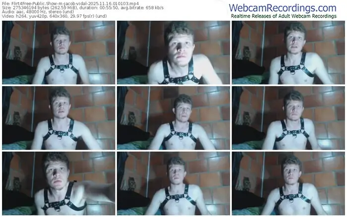 flirt4free-jacob-vidal-11-16-2025-01-01-03