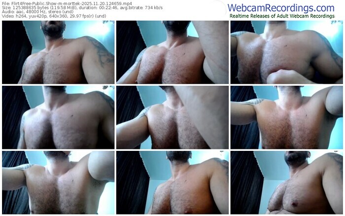 flirt4free-morttek-11-20-2025-12-46-59