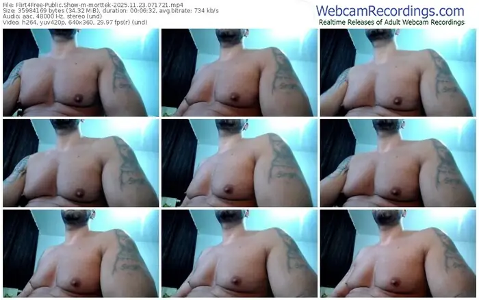 flirt4free-morttek-11-23-2025-07-17-21