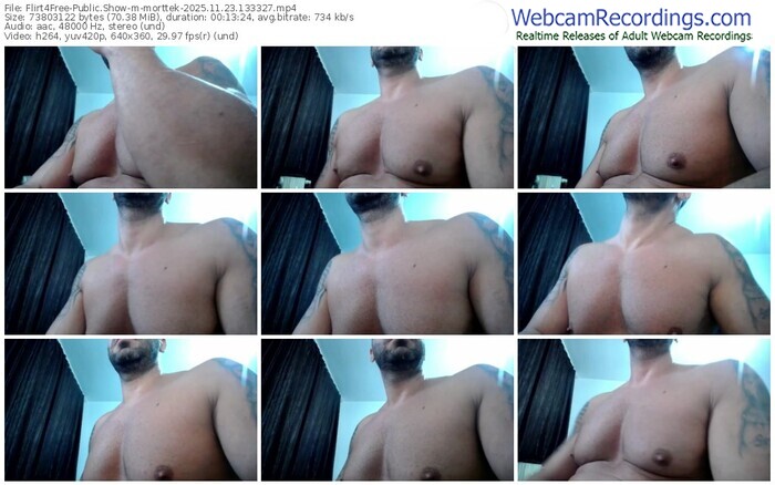 flirt4free-morttek-11-23-2025-13-33-27