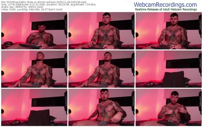 flirt4free-dimitri-sullivan-11-24-2025-02-52-36