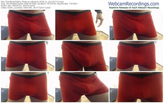 flirt4free-robinzon-11-24-2025-22-37-12