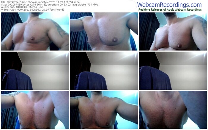 flirt4free-morttek-11-27-2025-13-18-54