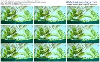 flirt4free-pierce-bailey-11-29-2025-04-30-03