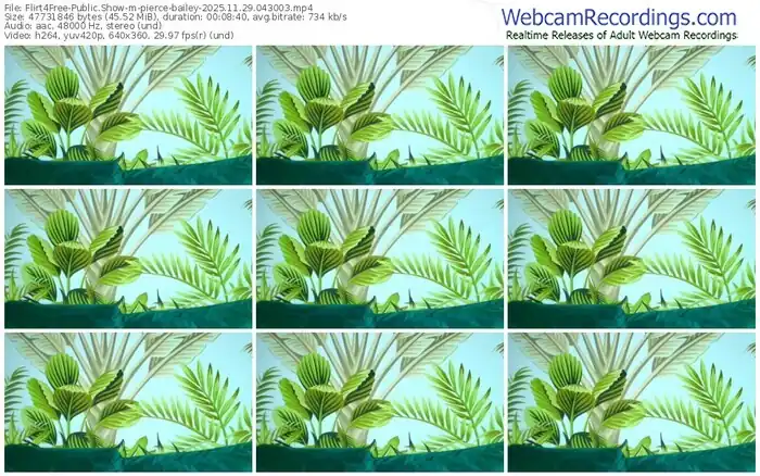 flirt4free-pierce-bailey-11-29-2025-04-30-03