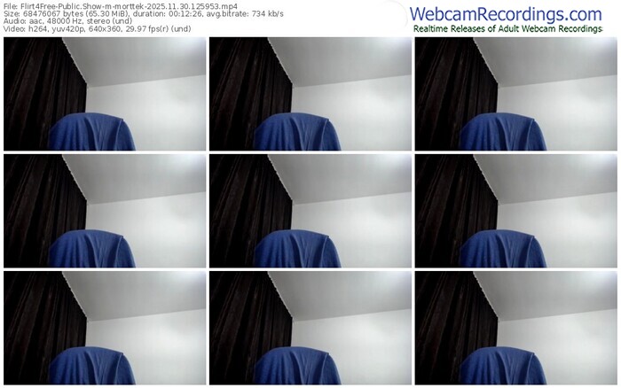 flirt4free-morttek-11-30-2025-12-59-53