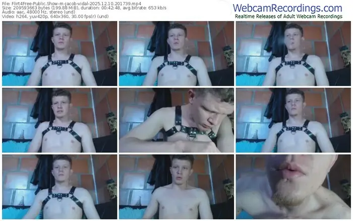 flirt4free-jacob-vidal-12-10-2025-20-17-39