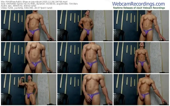 flirt4free-joe-robust-12-28-2025-13-47-06