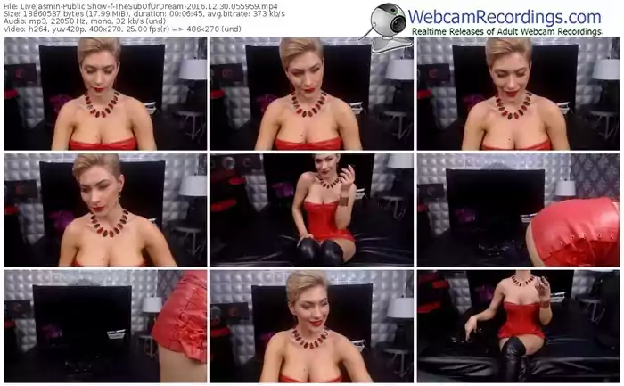 livejasmin-thesubofurdream-webcam-show-12_30_2016-05_59_59