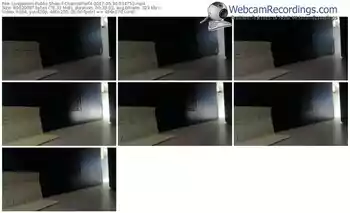 livejasmin-channelperf4-webcam-show-05_30_2017-03_47_52