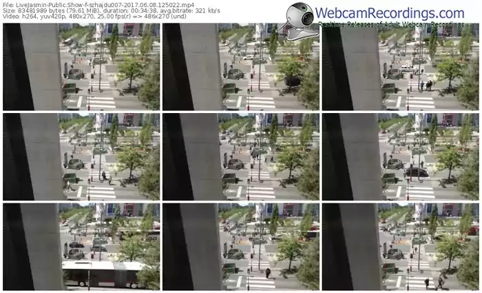 livejasmin-szhajdu007-webcam-show-06_08_2017-12_50_22