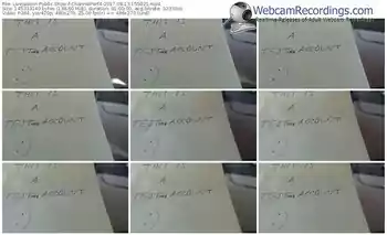 livejasmin-channelperf4-webcam-show-08_13_2017-15_50_21