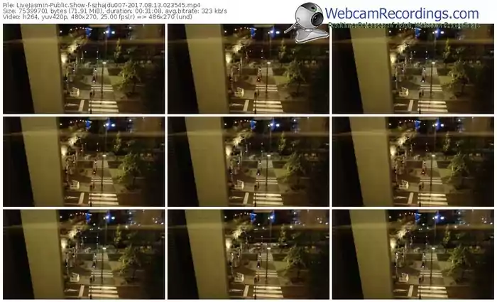 livejasmin-szhajdu007-webcam-show-08_13_2017-02_35_45