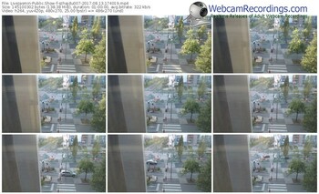 livejasmin-szhajdu007-webcam-show-08_13_2017-17_40_19