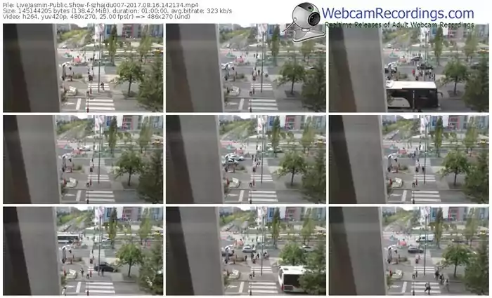 livejasmin-szhajdu007-webcam-show-08_16_2017-14_21_34
