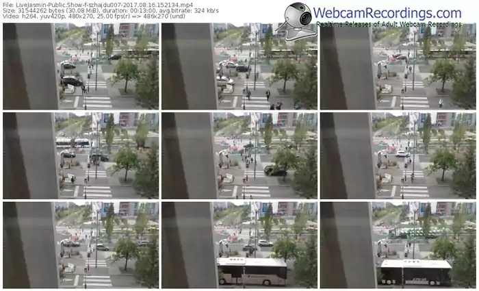 livejasmin-szhajdu007-webcam-show-08_16_2017-15_21_34