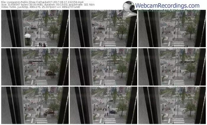 livejasmin-szhajdu007-webcam-show-08_17_2017-13_21_59