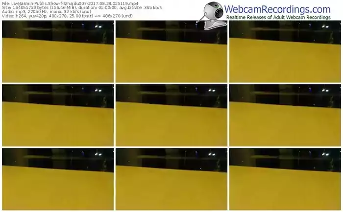 livejasmin-szhajdu007-webcam-show-08_28_2017-01_51_19