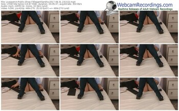 livejasmin-elegantsandra-webcam-show-08_31_2017-23_10_22