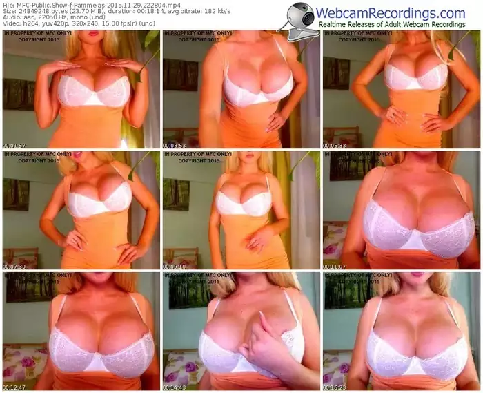 myfreecams-pammelas-webcam-show-11_29_2015-22_28_04