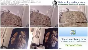 myfreecams-seductivemina-webcam-show-12_17_2015-07_56_24