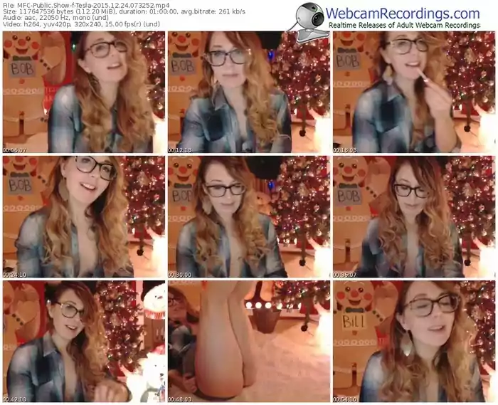 myfreecams-tesla-webcam-show-12_24_2015-07_32_52