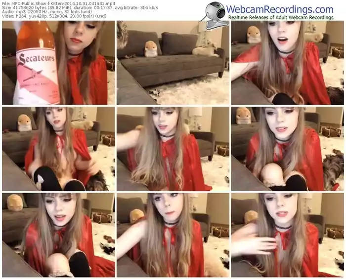 myfreecams-kitten-webcam-show-10_31_2016-04_16_31
