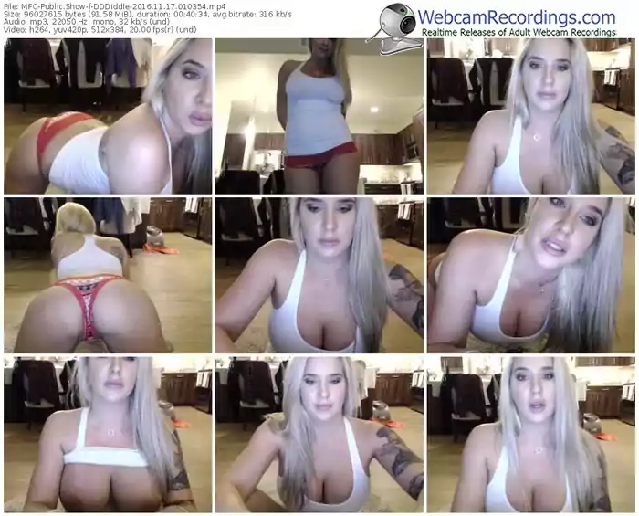 myfreecams-dddiddle-webcam-show-11_17_2016-01_03_54