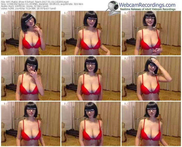 myfreecams-school_teach-webcam-show-01_03_2017-14_16_00