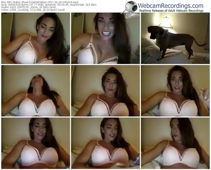 myfreecams-hallieharper-webcam-show-02_26_2017-04_53_18