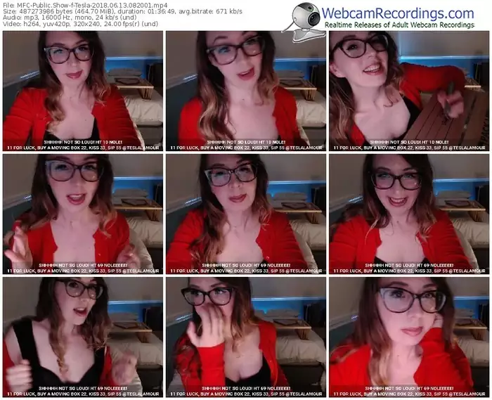 myfreecams-tesla-webcam-show-06_13_2018-08_20_01