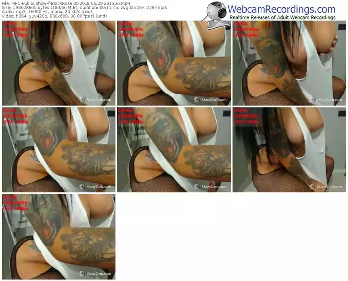 myfreecams-blackrosetat-webcam-show-06_29_2018-23_13_56