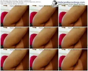 myfreecams-pamelas_-webcam-show-08_17_2018-08_30_34