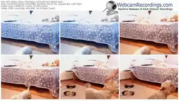 myfreecams-michelyy-webcam-show-08_20_2018-14_04_02