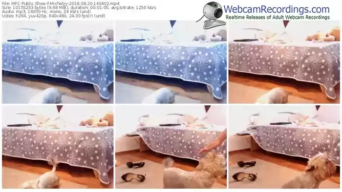 myfreecams-michelyy-webcam-show-08_20_2018-14_04_02