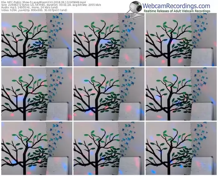 myfreecams-laceybloomxxx-webcam-show-09_13_2018-04_58_48