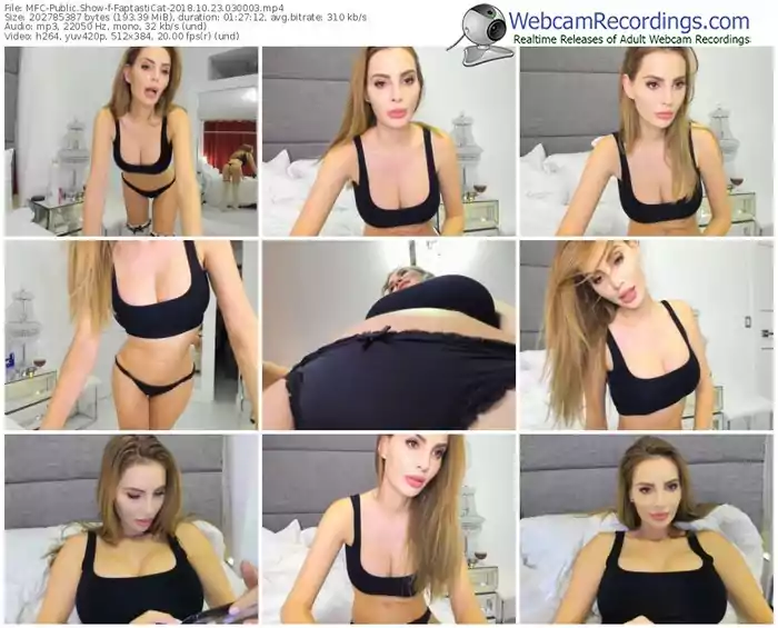 myfreecams-faptasticat-webcam-show-10_23_2018-03_00_03