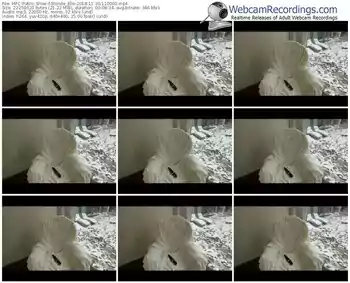 myfreecams-blonde_elle-webcam-show-11_30_2018-11_00_00