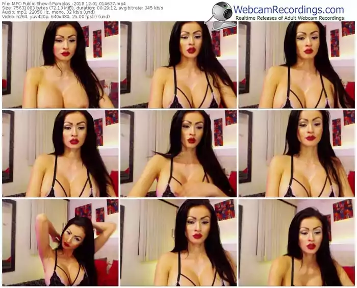 myfreecams-pamelas_-webcam-show-12_01_2018-01_46_37