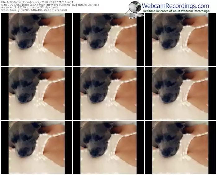 myfreecams-bunni_-webcam-show-12_22_2018-07_16_12