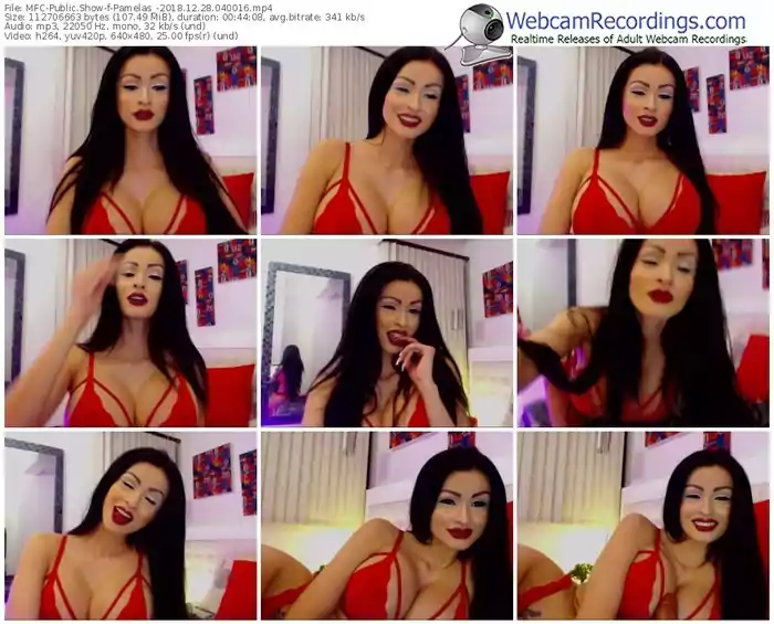 myfreecams-pamelas_-webcam-show-12_28_2018-04_00_16