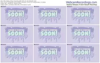 myfreecams-sincityvee-01_02_2021-04_49_38