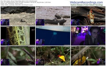myfreecams-mochirei-10_01_2021-15_19_14