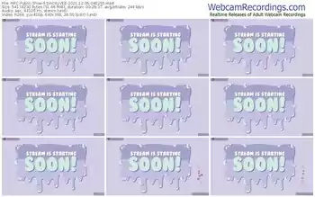 myfreecams-sincityvee-12_05_2021-04_02_55