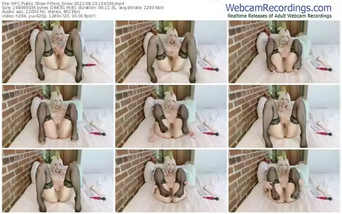 myfreecams-pixie_snow-08-23-2022-16-43-36