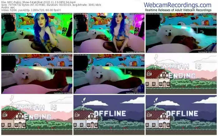 myfreecams-kati3kat-11-13-2022-08-51-34